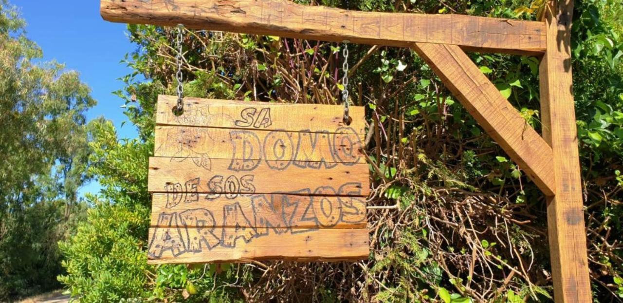 "Sa Domo De Sos Aranzos" Villa Santa Maria la Palma Luaran gambar
